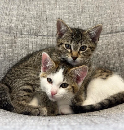 Image #1 from Eli T.