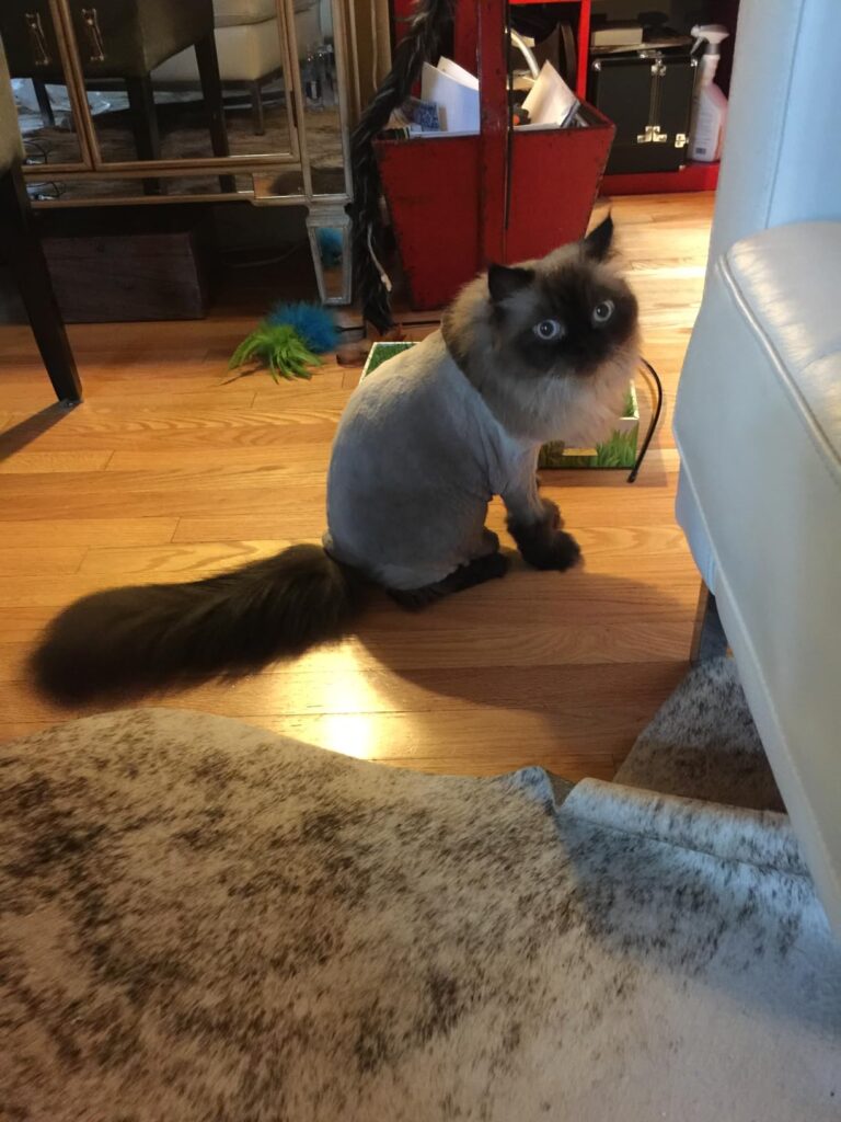 Image #1 from Beckett A.