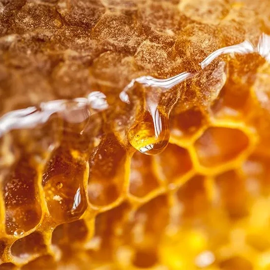 Raw Honey